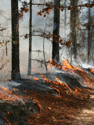 Montana/Idaho Smoke Management System